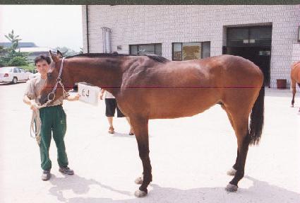 ���� ����