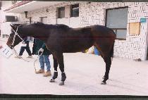 ����ǳ (CHIN-GWANGP��UNG) ����