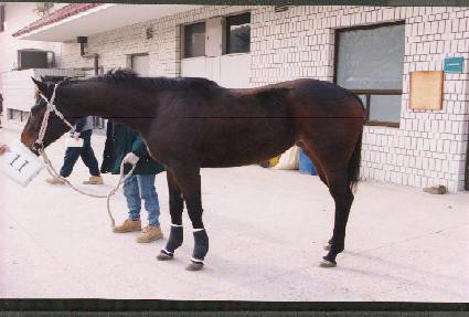 ����ǳ ����