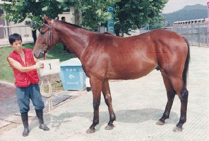 ���ο��� ����