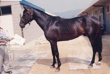 �ڼ� ����