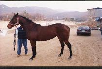 ����õ (YEONG-UNGCH��EON) ����