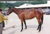 �չ� (WANGBEOL) ����