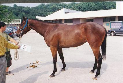 �չ� ����