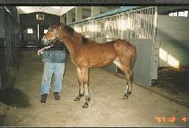 ����ťƼ���ϴ��ڸ� ����