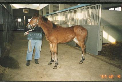 ����ťƼ���ϴ��ڸ� ����