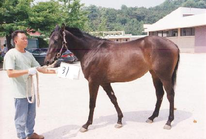 �������� ����