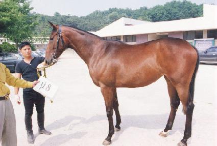 ����Ű�� ����