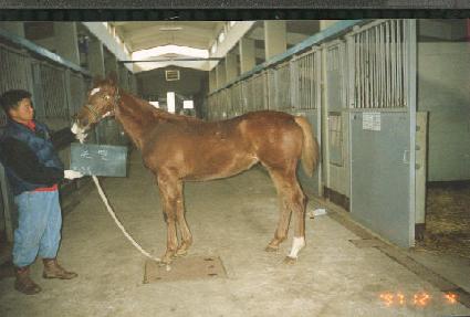 ū���ڸ� ����