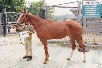 �ֵ��� ����