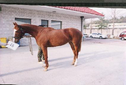 ���İ� ����