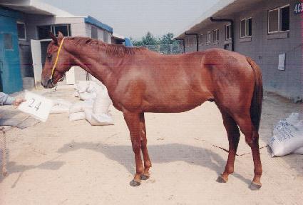 �뼼�� ����