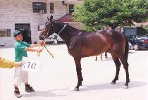 ���ϰ��� (CHEIL KANGJA) ����