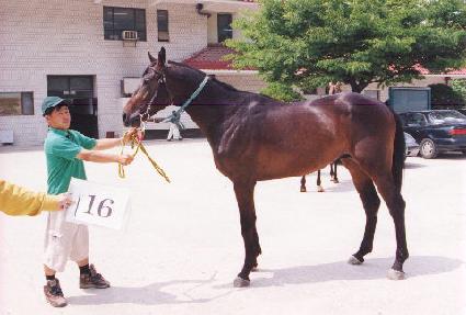 ���ϰ��� ����