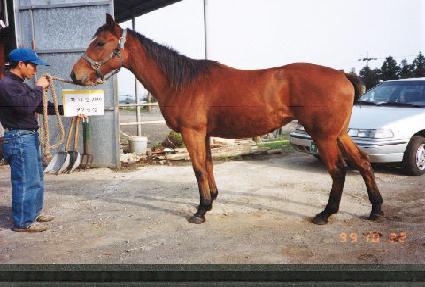 ���¼Ҹ� ����