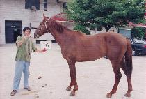 �پ�� (TTWIEONARA) ����