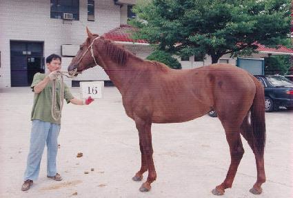 �پ�� ����