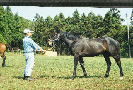 ������ǳ ����