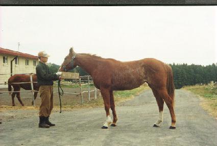 �л��� ����