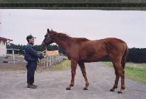 ������ (YUKTAEJU) ����