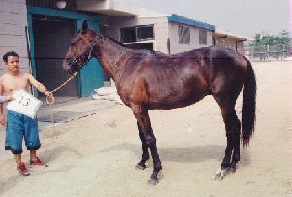 �渶�꼺 ����