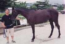 ���̵��۽�Ʈ (LADY FIRST) ����