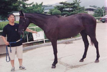 ���̵��۽�Ʈ ����