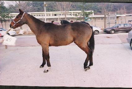 ���½ô� ����