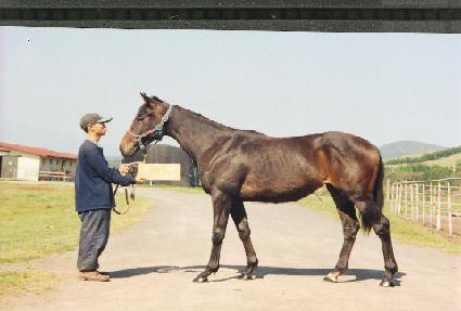 ���а��� ����