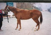 ũ�����ڸ� ����