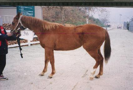 ũ�����ڸ� ����