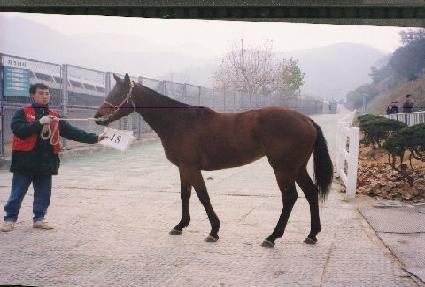 Ž���� ����