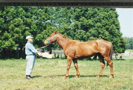 ���ݴ� ����