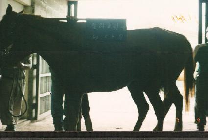 �ö�����ڸ� ����