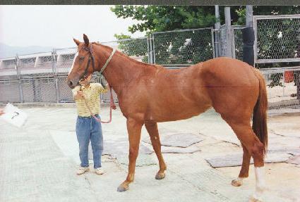 ���ο� ����