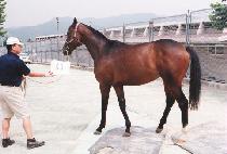 ����� (KUBIRYONG) ����