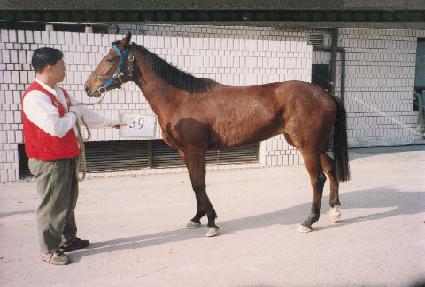 ������� ����