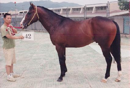 õ���� ����