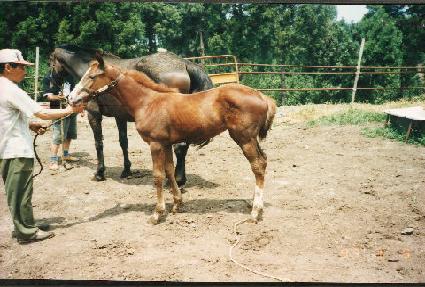 ����ڸ� ����