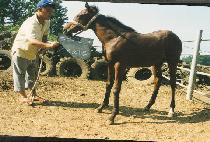 �������ڸ� ����