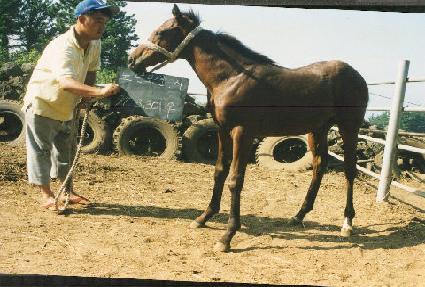 �������ڸ� ����