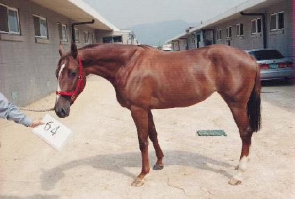 ��� ����