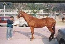 õ��ȣ (CH��EONSUHO) ����