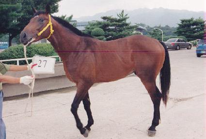 �̾������ ����