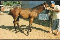 �����Ͷ���Ÿ���ڸ� ����