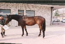 ��Ʈ�� (CHET��EUGI) ����