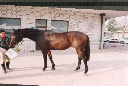 ��Ʈ�� ����