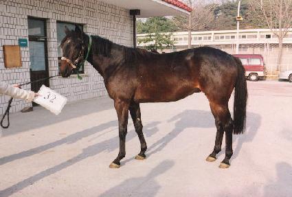 ������� ����