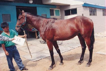 �������� ����