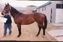 ö�ǿ��� (CH��EOLEUI YEOIN) ����